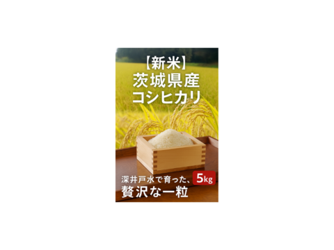 【新米】茨城県産コシヒカリ！５ｋｇ深井戸水使用！