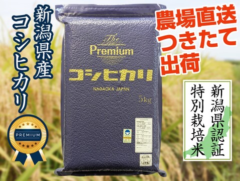 【最高級米】令和6年新潟県産ザ・プレミアム・コシヒカリ白米15kg（5㎏×3袋）