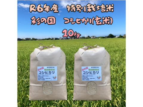 奥深い味わい
R6年産　特別栽培米コシヒカリ(玄米）　5㎏×2袋