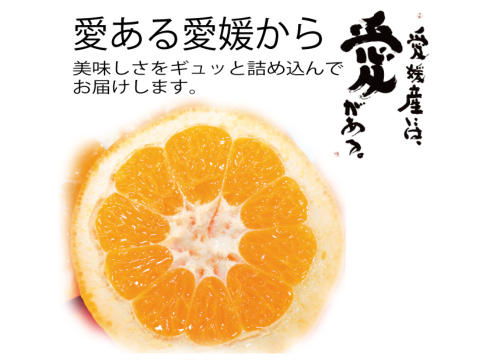 濃厚完熟　蔵出し　愛媛伊予柑　ご家庭用・４ｋｇ