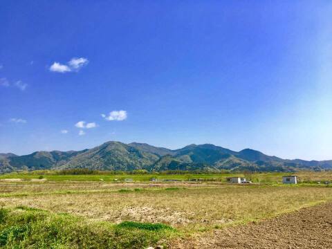 心と体に癒しを♪旬のまごころお野菜セット！（約11品目）