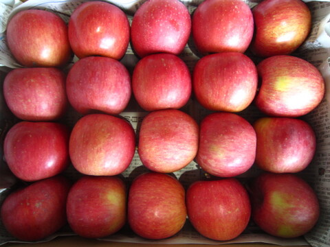 樹上完熟サンみしまふじ 小玉20個入り総重量 約4.5kg 青森県 南部地方産 自家りんご農園生産直送品！