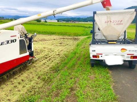 訳あり【令和7年新米】鳥取県　つむぎfarmのコシヒカリ 玄米　9kg