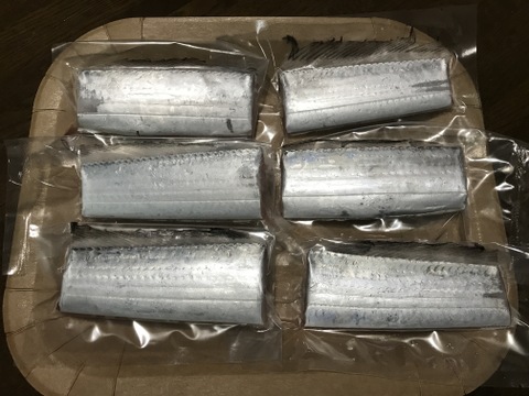 釣りたてピカピカ✨太刀魚　冷凍真空パック　8枚セット