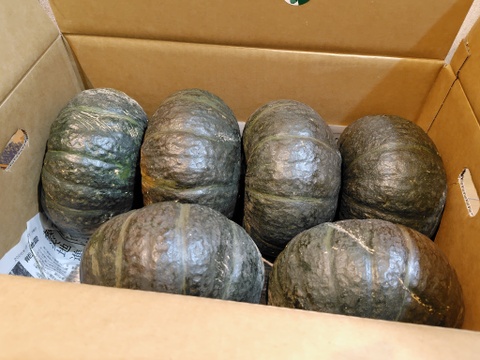 【ワケアリ】北海道産甘くてホクホクな南瓜　１０キロ