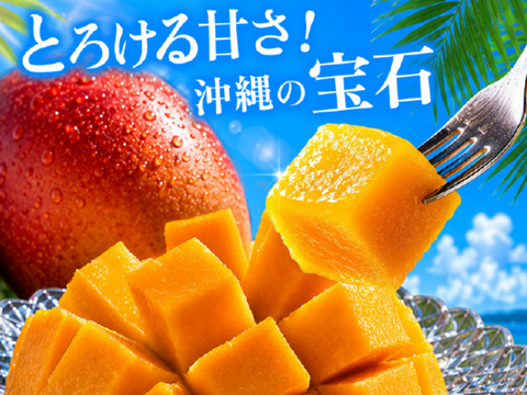 贈答用 秀品】宝石マンゴー（アーウィンマンゴー）1㎏：沖縄県産の