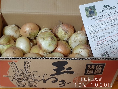【食べチョク最安値】【収穫数限りで終了】10kg★1400円！大豊作SALE！トロ甘 新玉ねぎ お急ぎ下さい！訳ありお得品