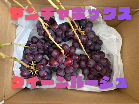 ヤンチャボックス】クイーンルージュ 1kg：長野県産のクイーンルージュ