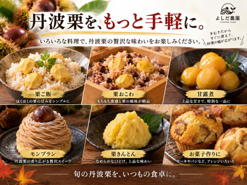 【丹波栗】ひと粒ずつ丁寧に手むき 冷凍むき栗 500g 2026年収穫 むき栗 産地直送 栗 栗ご飯 剥き栗