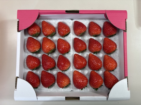 【摘みたて直送】とちあいか1箱（１２粒×2シート）