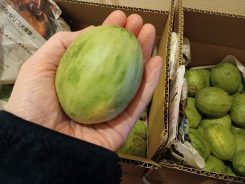 『季節限定』地元で大人気❣️摘果メロン《子メロン》(2kg✖️2箱)