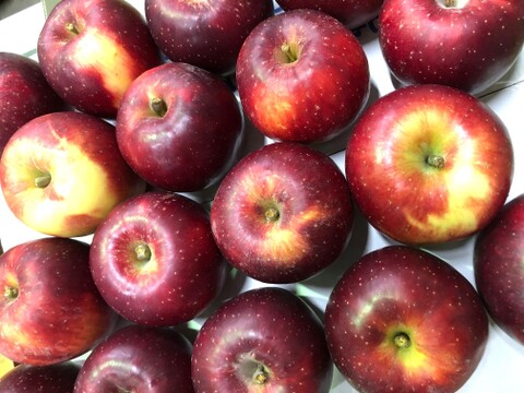 【りんご】唯一無二の福島県オリジナル品種！酸味一択！「べにこはく3ｋｇ」鮮度保持技術使用のフレッシュりんご
