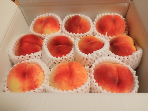 【すぐ発送！🍑山梨白桃】約３キロ！特大～大サイズ８～１１個！一度食べたら忘れられない  その時期一番おいしい品種をお届け【品種おまかせ】