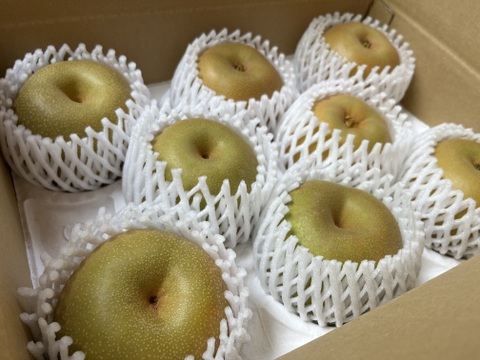 冷やして甘い🧊　千葉県産【あきあかり】3㎏『6～9玉入』　市川のなし・フルーツキャップ個装