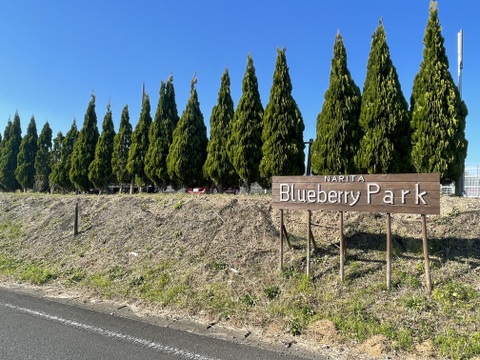 【New】定番いちじく×初登場金柑ドライフルーツ３袋セット○⚪︎国産・農薬不使用・無添加・濃縮・美容　自宅用、贈答用