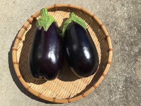 ナス食べ比べセット ナス 米ナス 白ナス 高知県産の野菜 食べチョク 産地直送 産直 お取り寄せ通販 農家 漁師から旬の食材を直送