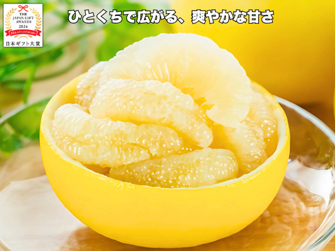 土佐文旦 超訳あり｜見た目NGでも中身同じ 今が食べ頃 60日仕上げ 3kg お試し