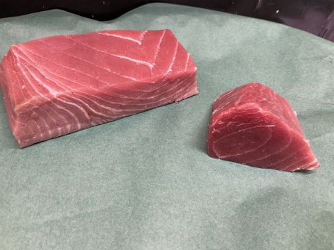 【マグロの王様】天然本マグロ/トロと赤身セット/境港産/470ｇ【冷凍】【原体100kg】