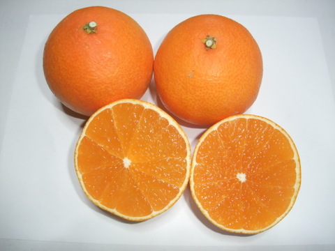 【冬ギフト】とろける・プル甘！ひめまる愛果まどんな（贈答用約3Kg）