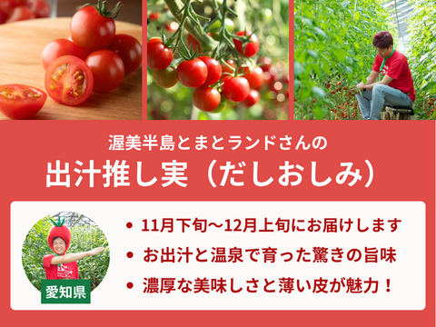 【販売終了】【限定200セット】トマト食べ比べ便（食べチョク公式）