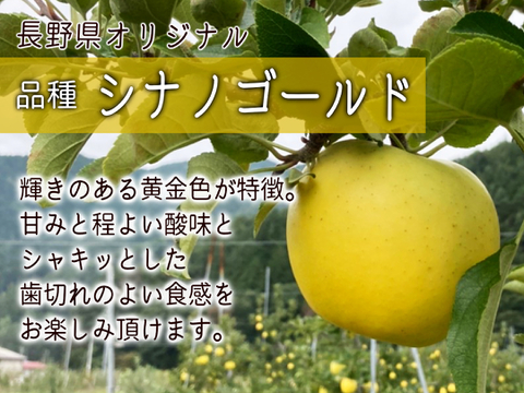 黄金色が食べ頃！ シナノゴールド 5kg(3L～Sサイズ) 自家用(訳あり品) 信州安曇野産りんご  長野県オリジナル品種 人気商品