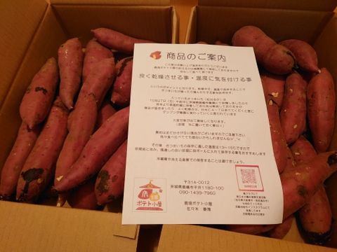 さつまいも(紅はるか)10kg S 〜Lサイズ