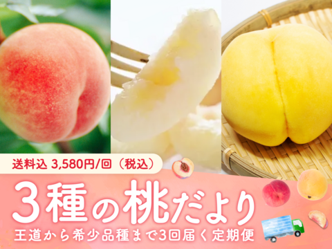 【食べチョク旬の食べ比べ便】さくら白桃
