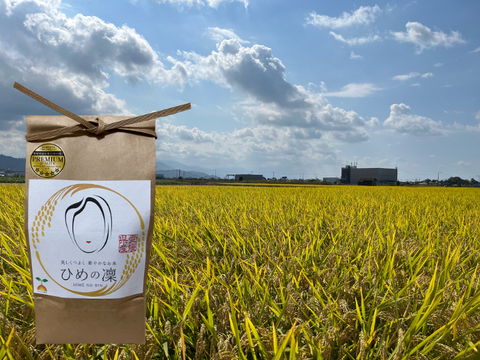 ✨令和７年産✨ﾌﾟﾚﾐｱﾑｸｵﾘﾃｨ認定１０㎏｢ひめの凜｣一等米【玄米】