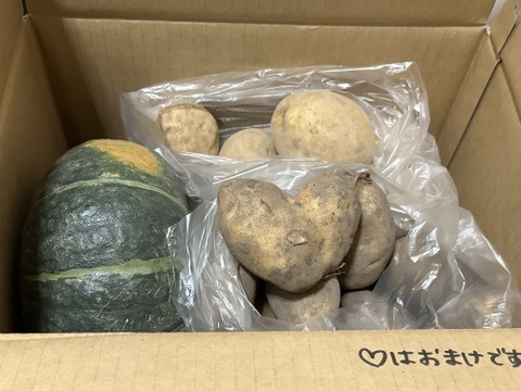 🥔🎃じゃがいも2種とかぼちゃ❗️【とうや】約1.7kg【メークイン】約1.7kg【かぼちゃ】約1.5kg合計5kg🥔🎃