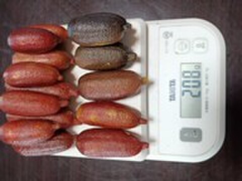 南からの贈り物　フィンガーライム２００ｇ