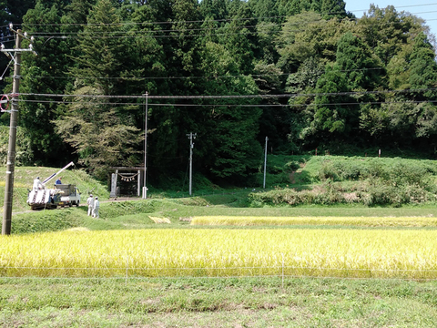 【2023年産】特別栽培米コシヒカリ(白米)１０kg