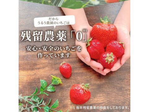 あまおう苺 サイズ色々270ｇ×2パック！【冬ギフト】