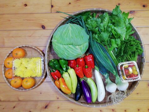 【農薬・化学肥料不使用】ミカン入り野菜セット(【5~7種類の野菜】【お歳暮対応可】(80サイズ箱)