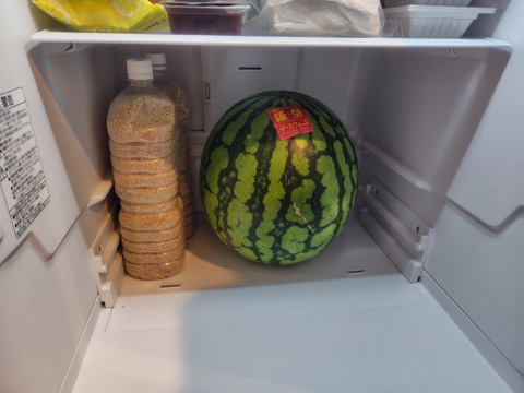 甘い旨いスイカ　大玉　8㌔-9㌔　羅皇ザスイート