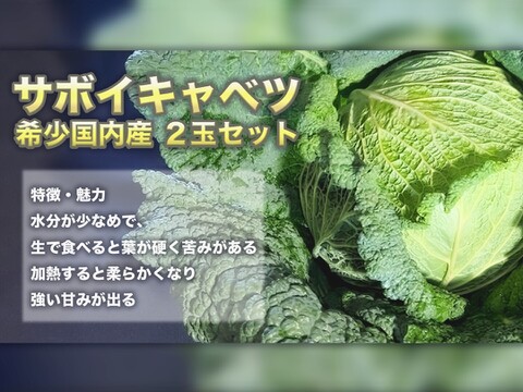 北海道産サボイキャベツ　希少国内産2玉