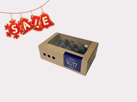 ☆セール中☆【冬の国産生ブルーベリー】100g×1pc