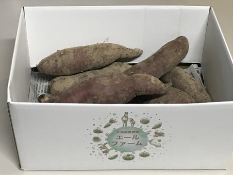 2024年【べにはるか】北海道産さつまいも　1.8kg