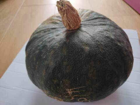 ✨新鮮採れたてゴーヤ約800g+丸オクラ20本+カボチャ約1.5㎏✨