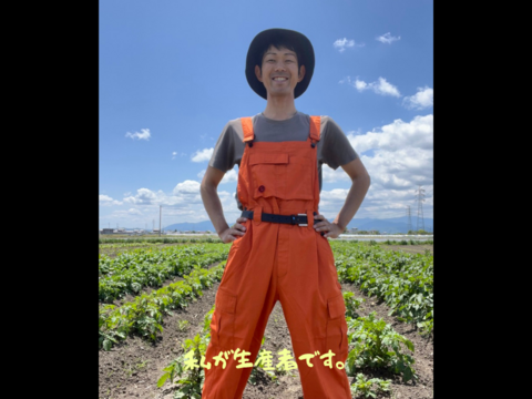 【自然栽培】優しい甘み！徳島県産なりくらマクワウリ 3kg