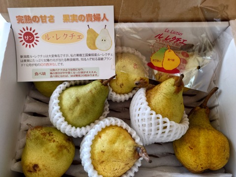 家庭用　訳あり　お試し　幻の洋梨　ルレクチェ、糖度16度以上、2キロ(7~13玉)