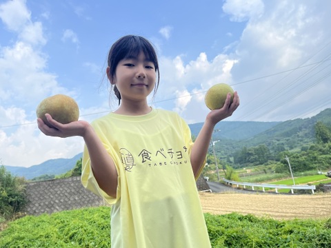 酸味少なくサッパリ　秋麗梨 3k箱 6〜8玉