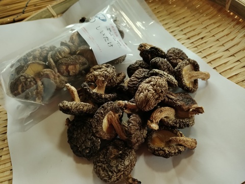 【原木乾燥椎茸】「京ぽんぽん」（お試し30g）　京都府産　原木栽培　農薬不使用