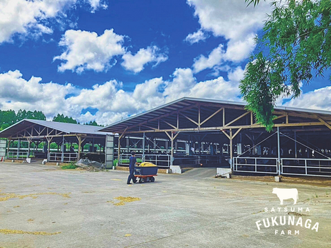 【超特価】もつ鍋に！コロコロ可愛いマルチョウ（２人前）［ マルチョウ 300g ］黒毛和牛 牛肉 ［ ギフト推し お取り寄せ 贈り物 誕生日 グルメ プレゼント ］