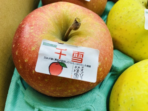 旬のりんご4品種食べ比べセット3ｋｇ（早生ふじ、星の金貨、千雪、シナノスイート）