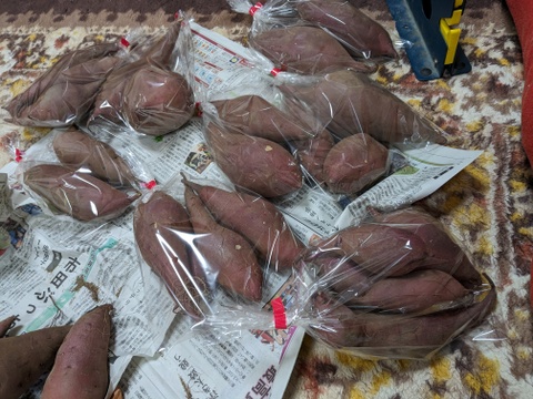 熟成！あまーいサツマイモ約4.8ｋｇ