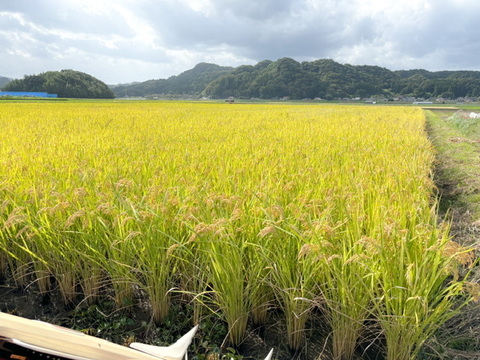【農薬･肥料不使用玄米】この農園だけの美味しい無肥料米【5kg】