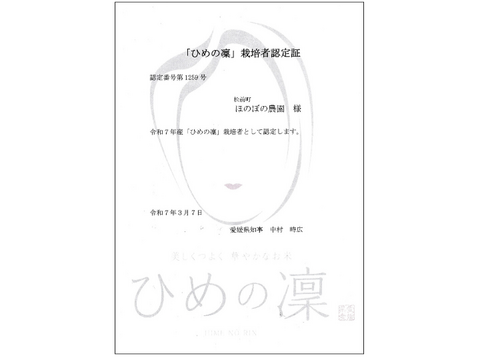 ✨令和７年産新米✨ﾌﾟﾚﾐｱﾑｸｵﾘﾃｨ認定5㎏｢ひめの凜｣一等米【玄米】