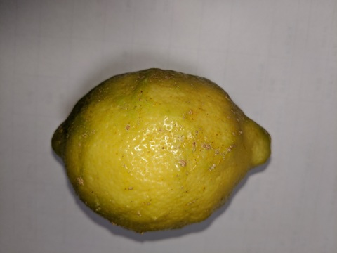 【有機JAS】レモン ご家庭用(2kg)