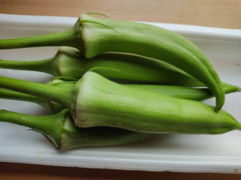 旬のお野菜セット（5～7品）クール便