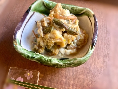 【袴処理済】有馬温泉の麓 天然つくし たっぷり200g 3月末頃から順次発送 土筆